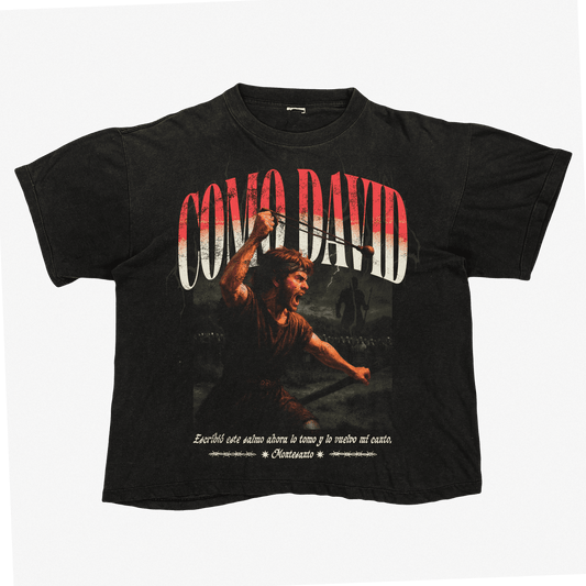 Camiseta Oversize “Como David” USA
